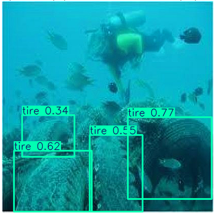 Underwater Plastic Pollution Detection
